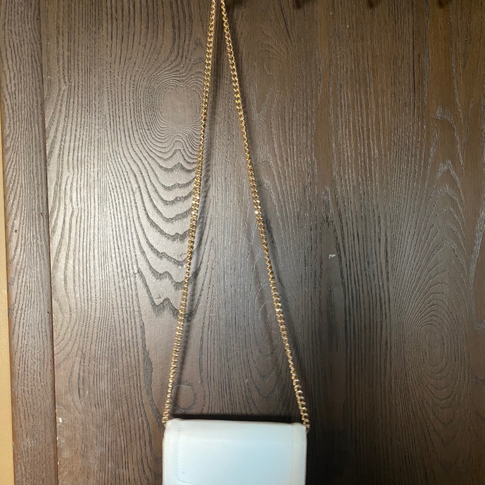 This beautiful, gorgeous purse!